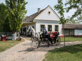 f00462ee08c9014487d65d7ddfbf7b54_XS Španija doček Nove godine | Nova godina u Španiji | Doček 2021 Španija | Novogodišnje putovanje u Španiju | - Evropske ture | Fantast | Avio Karte